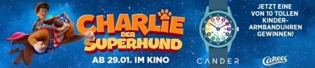 CharlieDerSuperhund_Cakees_1600x350.jpg
